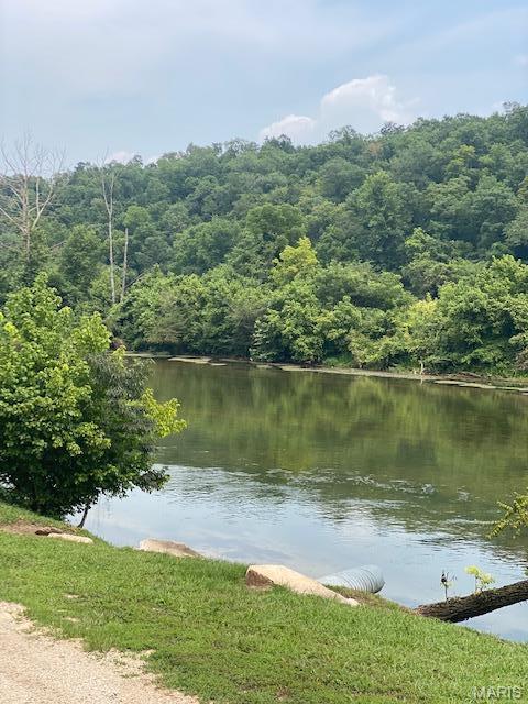 355 County Road 355 Caulfield, MO 65626 - Photo 10 of 12