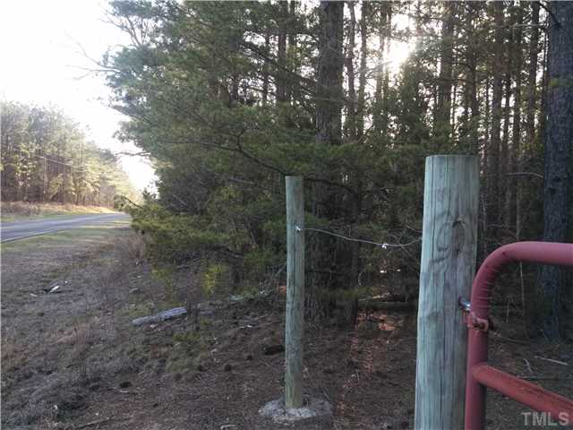 Pixley Pritchard Road Timberlake, NC 27583 - Photo 3 of 6 a view of a forest