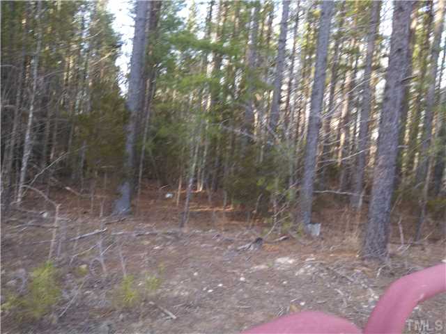 Pixley Pritchard Road Timberlake, NC 27583 - Photo 4 of 6 a view of a forest with trees in the background