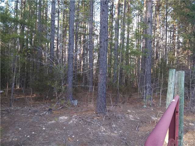 Pixley Pritchard Road Timberlake, NC 27583 - Photo 5 of 6 a view of a forest with trees