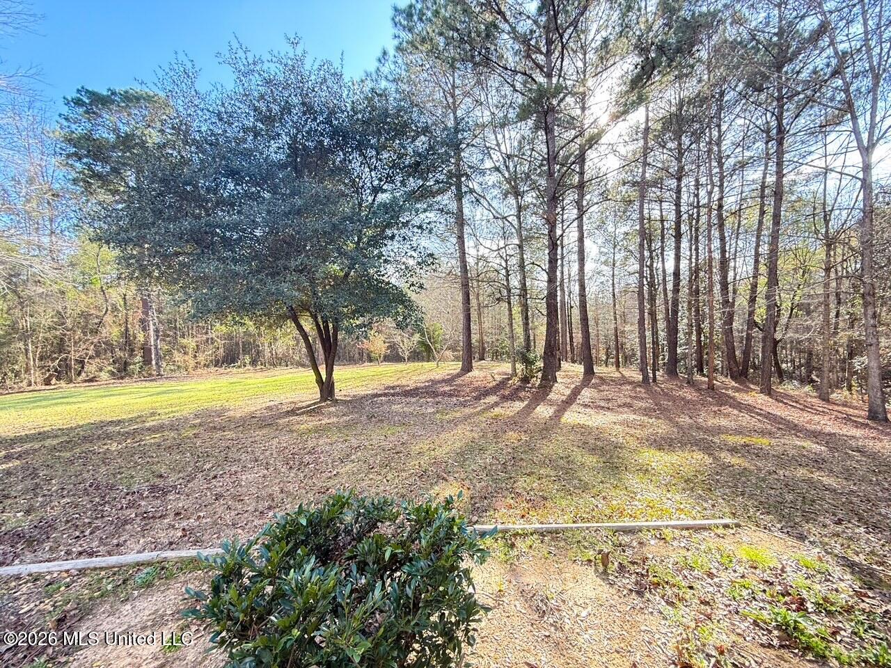 1108 Eric Price Road Tylertown, MS 39667 - Photo 19 of 24 IMG_7240