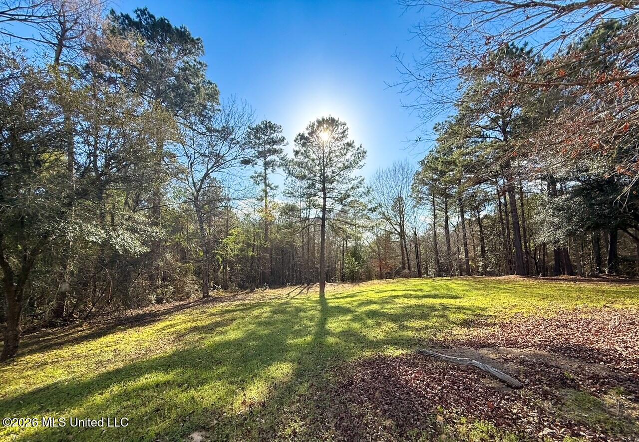 1108 Eric Price Road Tylertown, MS 39667 - Photo 23 of 24 IMG_7245