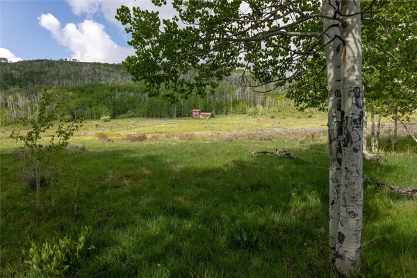 a view of a bunch of trees and houses