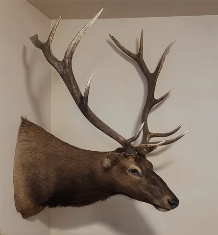 a view of a field with an ocean view