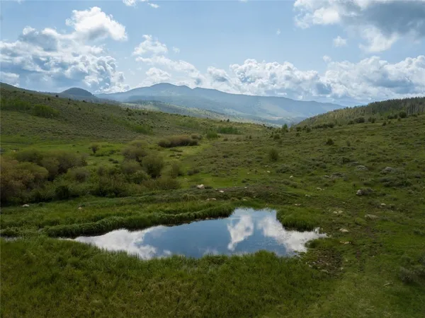 a view of a green field with lots of bushes