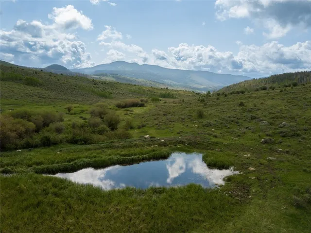 a view of a green field with lots of bushes