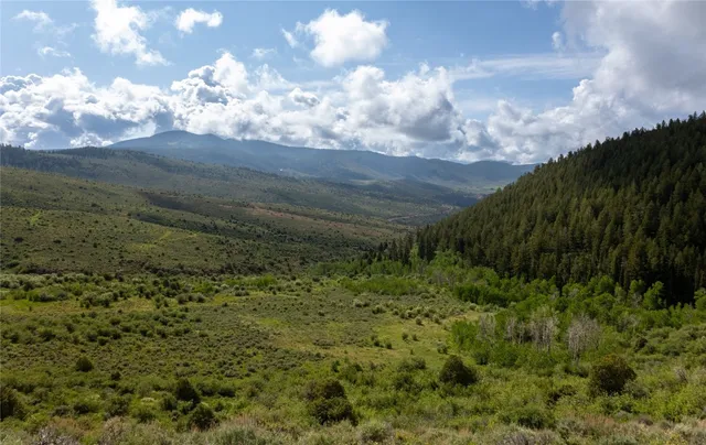 $2,500,000 | 8034 State Highway 131, Bond, CO 80423