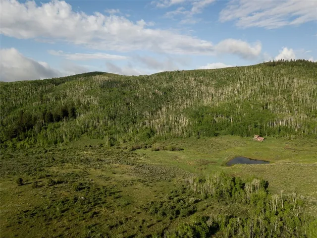 a view of a big yard with lots of green space and bushes