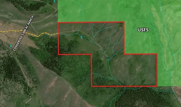 a view of a field with an ocean