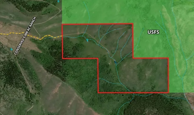 a view of a field with an ocean