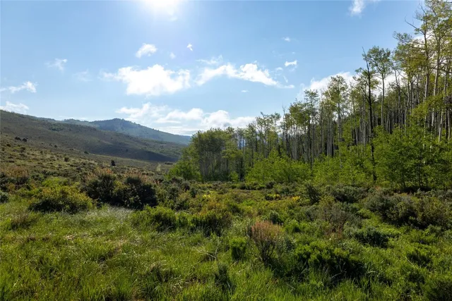 a view of a field of grass and trees
