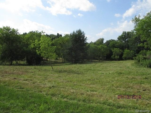 0 Tipsico Lake Road Fenton, MI 48430 - Photo 4 of 6