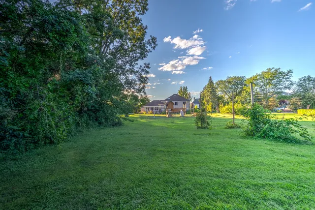 a view of a big yard with plants and large trees