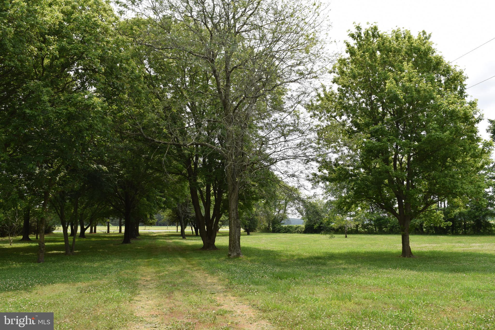 3571 Snow Hill Road Girdletree, MD 21829 - Photo 43 of 57 Gallery Image 43