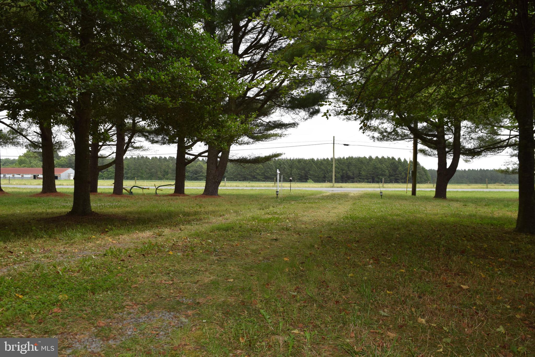 3571 Snow Hill Road Girdletree, MD 21829 - Photo 44 of 57 Gallery Image 44