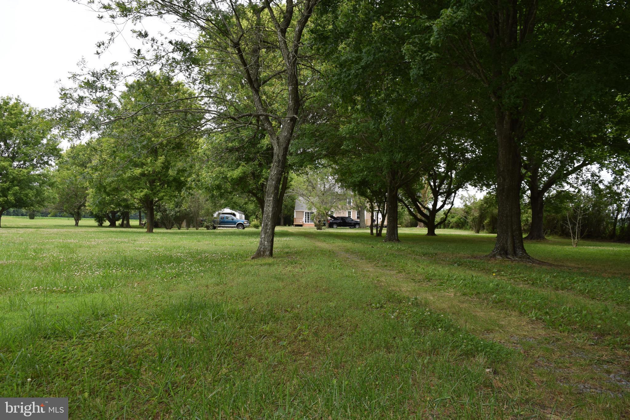 3571 Snow Hill Road Girdletree, MD 21829 - Photo 45 of 57 Gallery Image 45