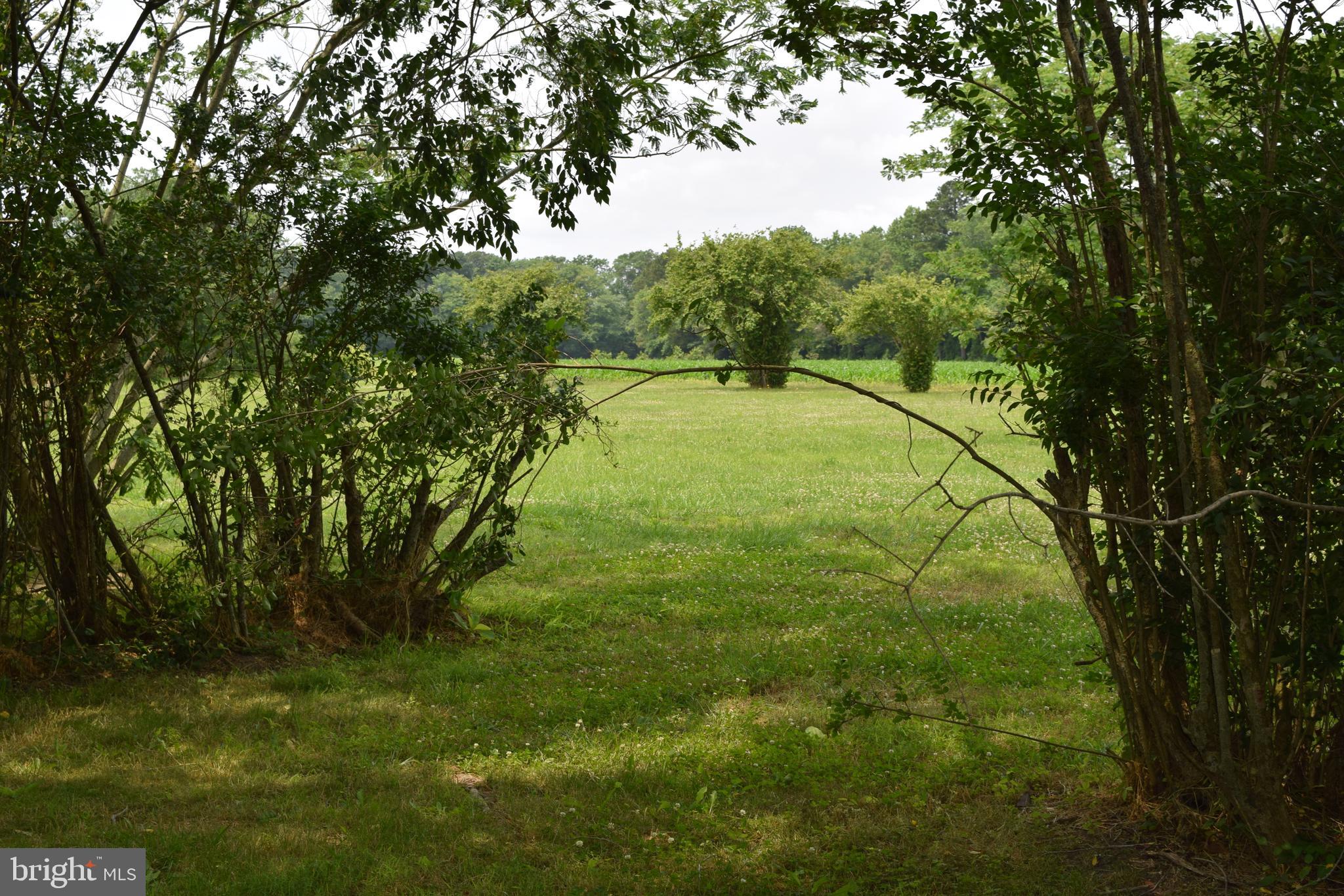 3571 Snow Hill Road Girdletree, MD 21829 - Photo 47 of 57 Gallery Image 47