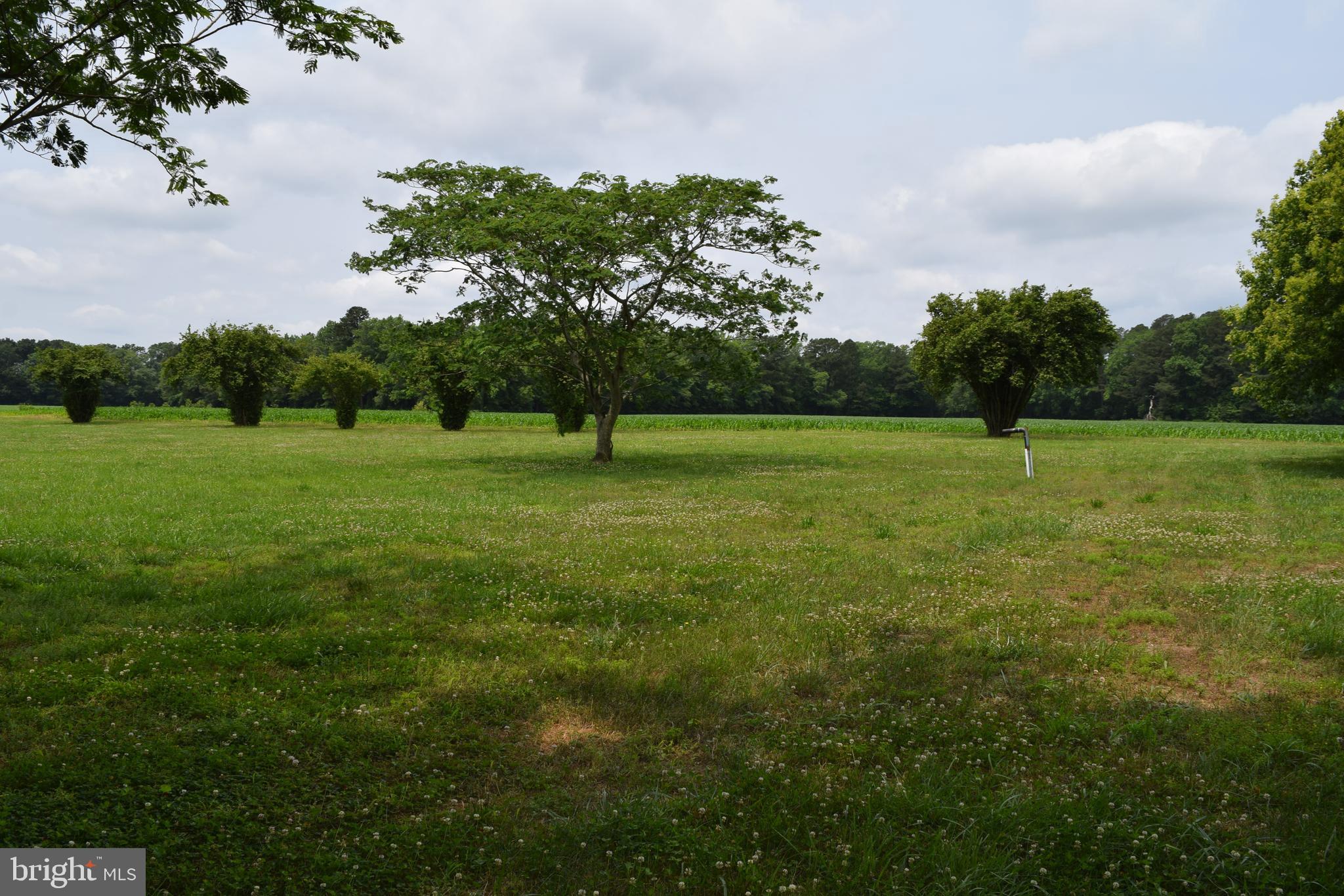 3571 Snow Hill Road Girdletree, MD 21829 - Photo 48 of 57 Gallery Image 48