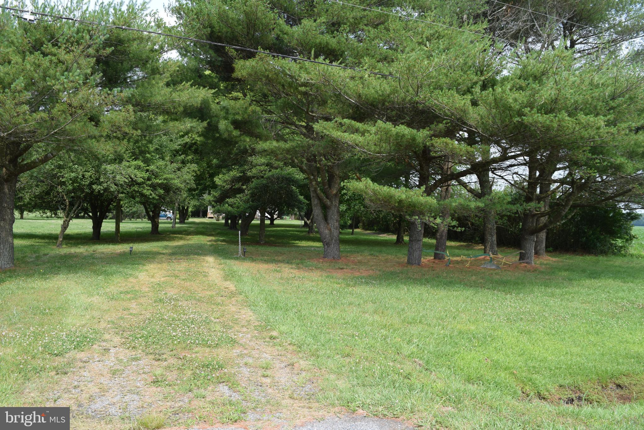 3571 Snow Hill Road Girdletree, MD 21829 - Photo 49 of 57 Gallery Image 49