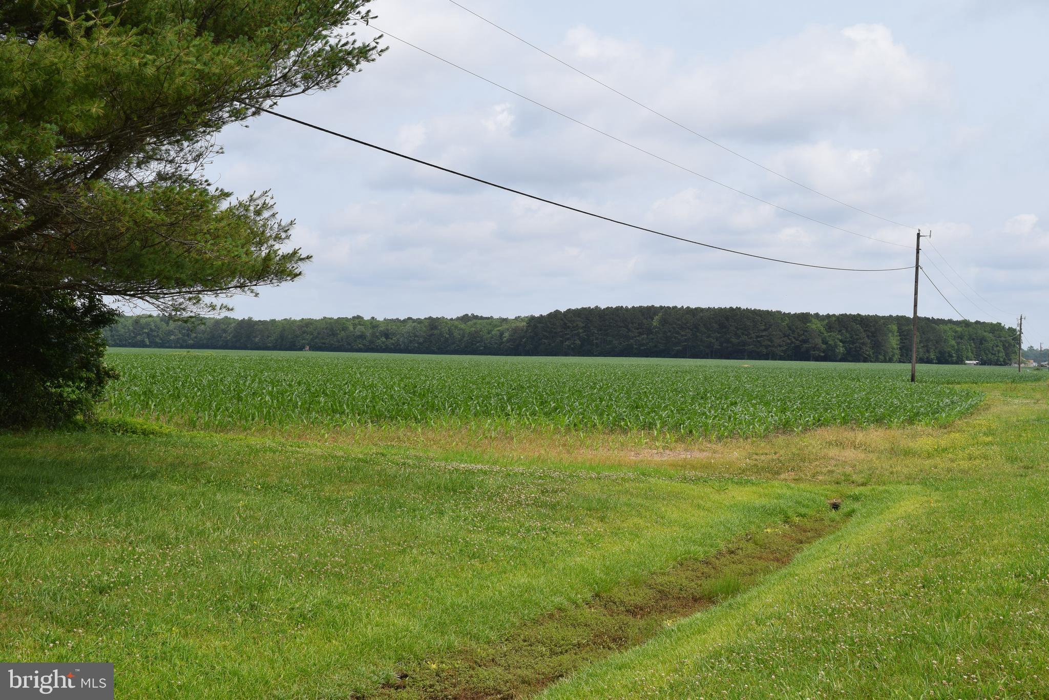 3571 Snow Hill Road Girdletree, MD 21829 - Photo 50 of 57 Gallery Image 50