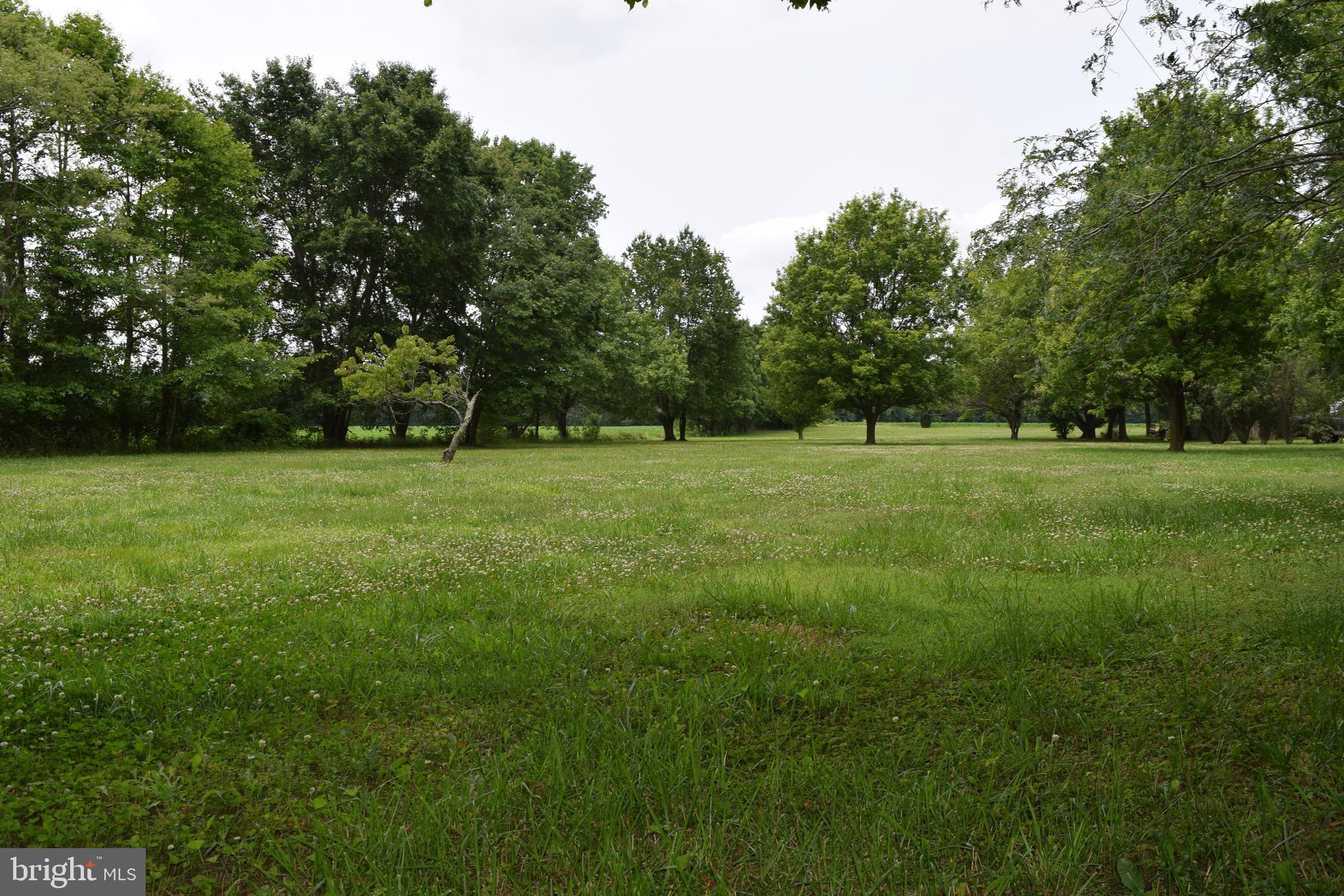 3571 Snow Hill Road Girdletree, MD 21829 - Photo 55 of 57 Gallery Image 55
