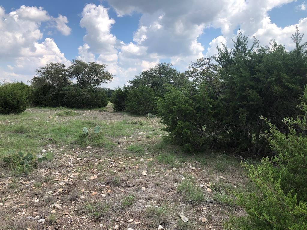 0 Zenner-Ahrens Road, Unit 2 Kerrville, TX 78028 - Photo 1 of 4 Main View