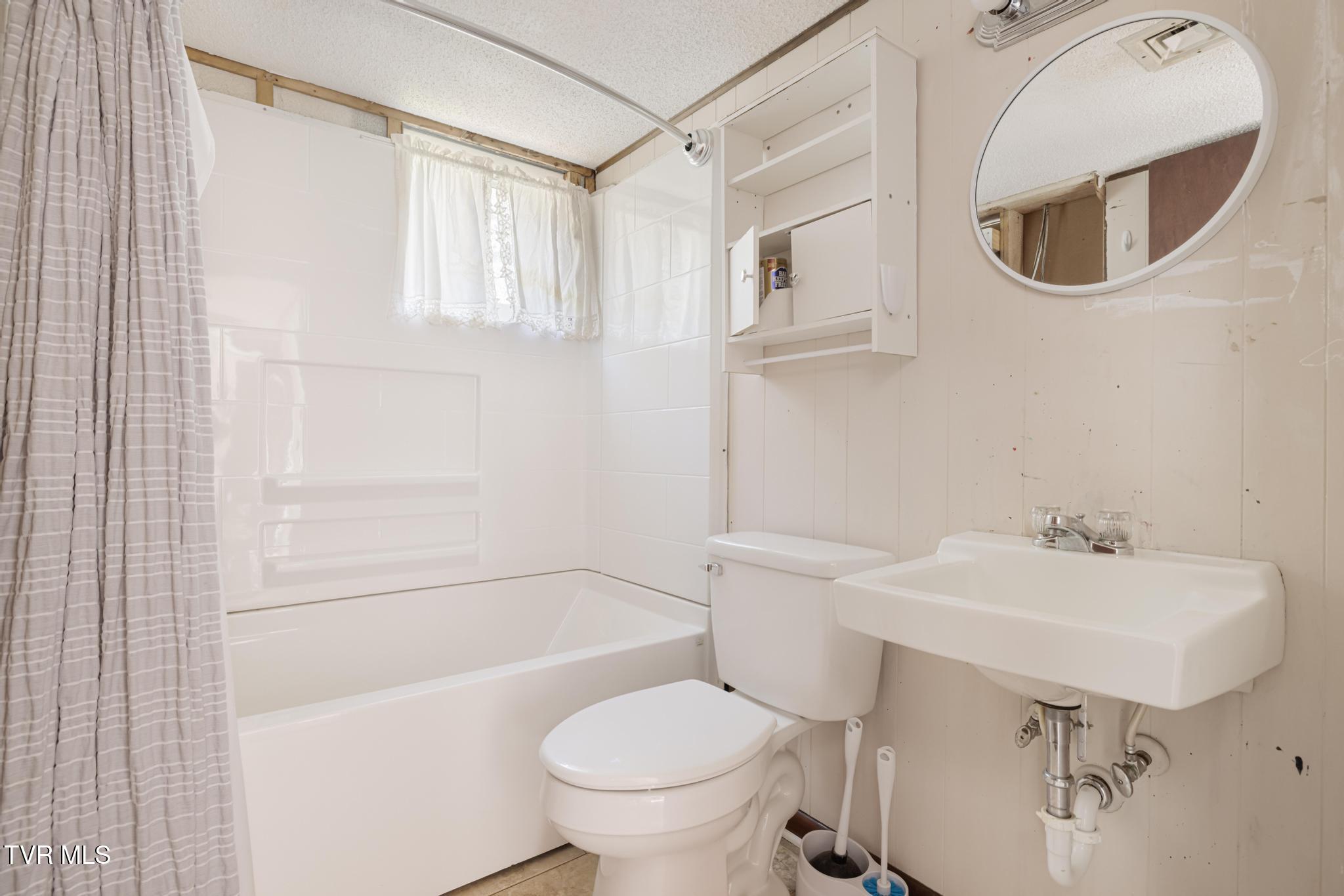 317 Simmons Avenue Erwin, TN 37650 - Photo 46 of 53 IMG_9833