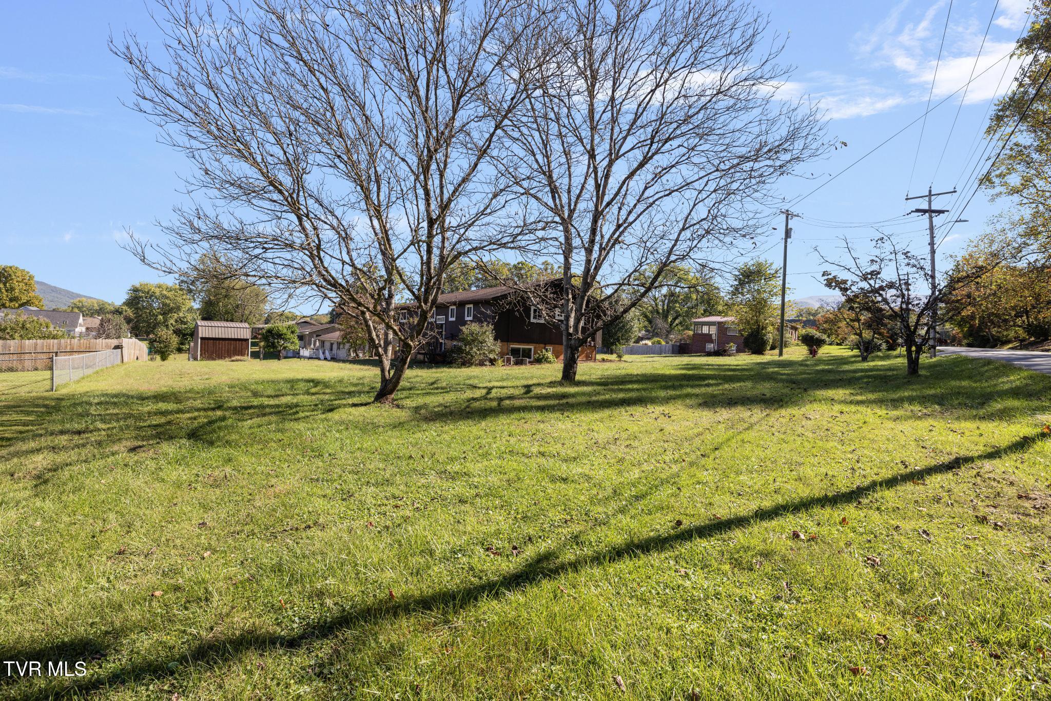 317 Simmons Avenue Erwin, TN 37650 - Photo 53 of 53 IMG_9846