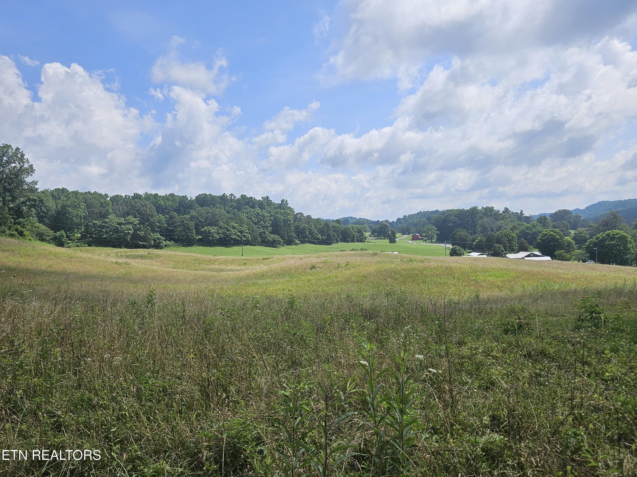 0 Hickory Valley Road Maynardville, TN 37807 - Photo 18 of 29 Gallery Image 18