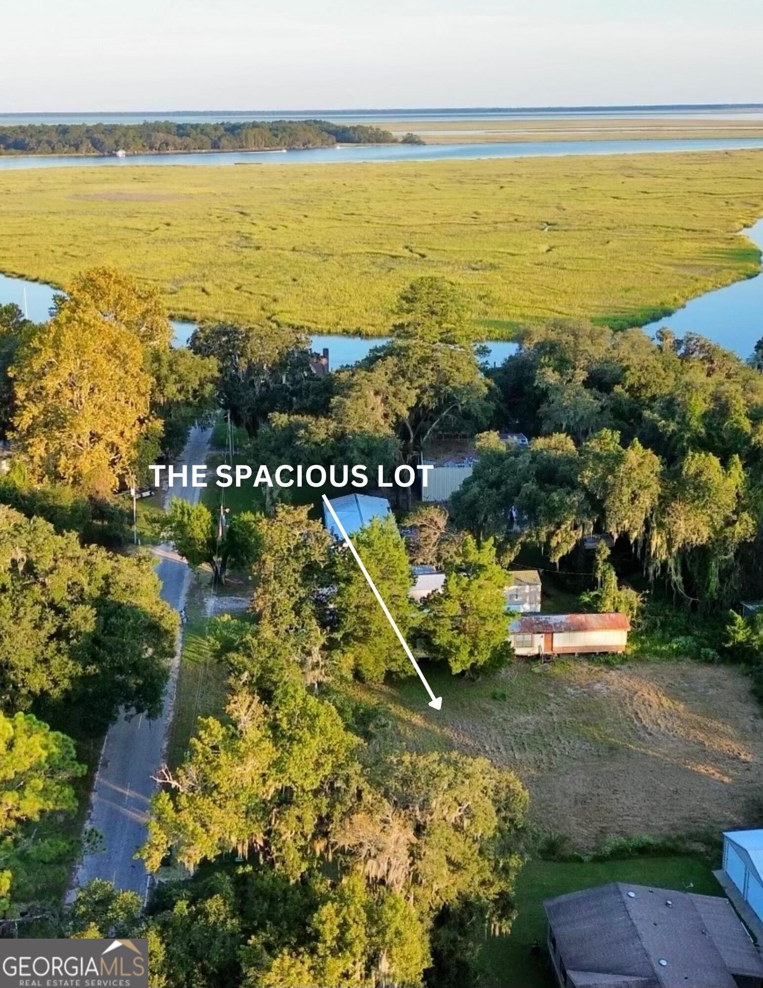 0 New Shellman Bluff Road Townsend, GA 31331 - Photo 1 of 1