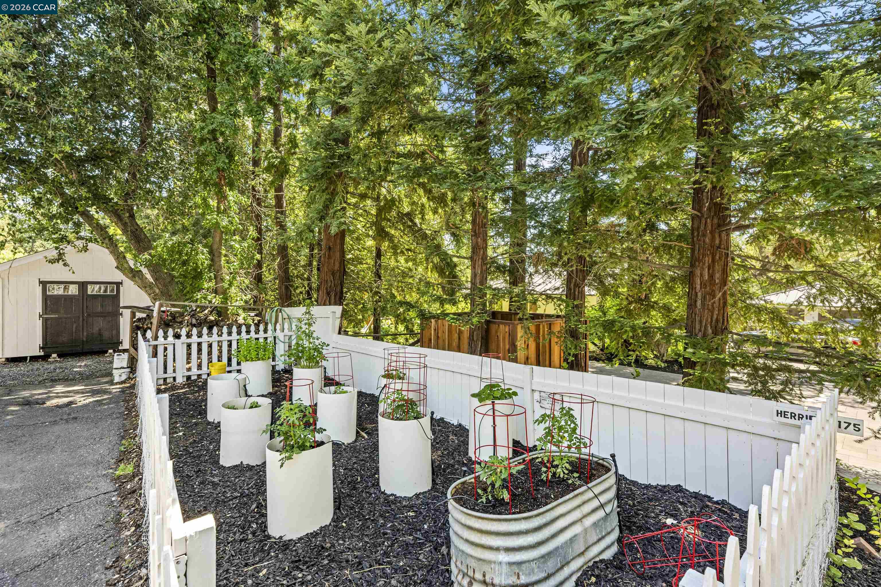 177 Oak Road Alamo, CA 94507 - Photo 67 of 85 a view of a deck with furniture and garden