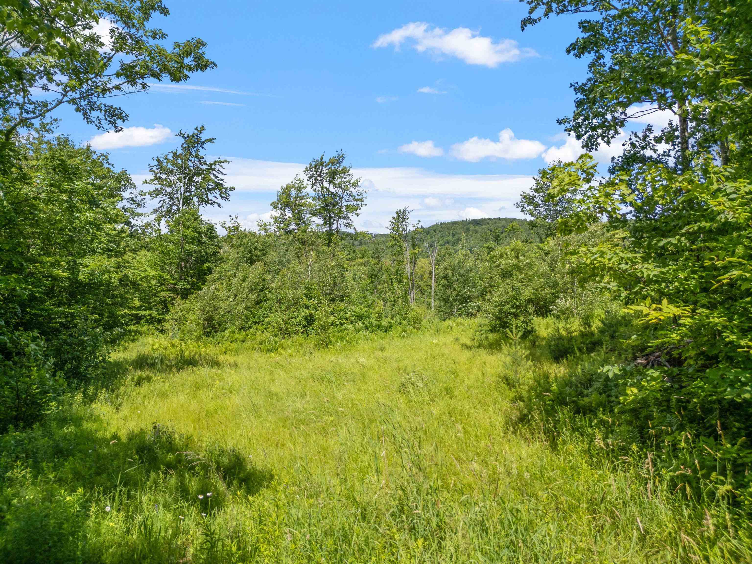 1256 Cherry Valley Road Gilford, NH 03249 - Photo 4 of 21