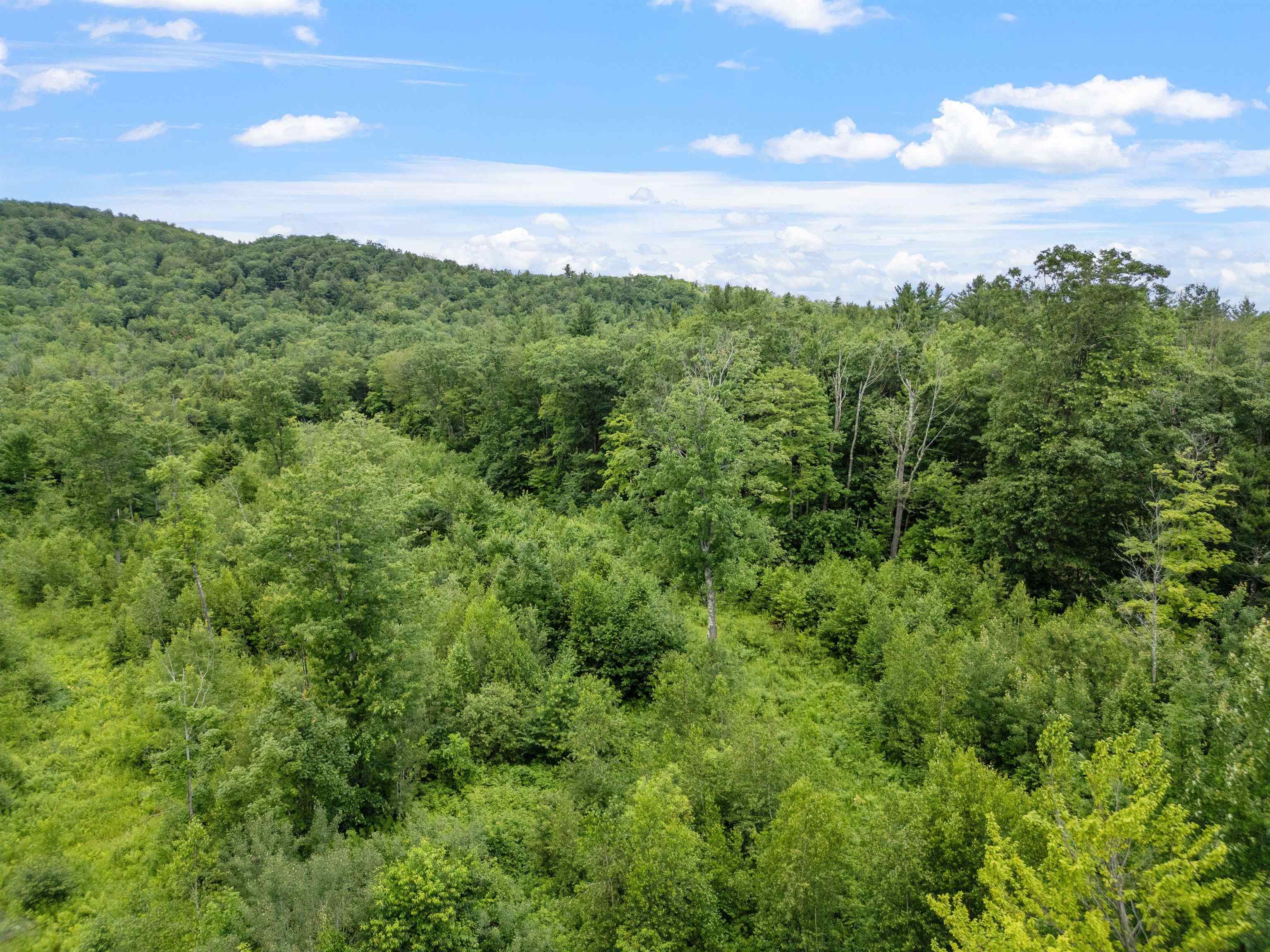 1256 Cherry Valley Road Gilford, NH 03249 - Photo 7 of 21