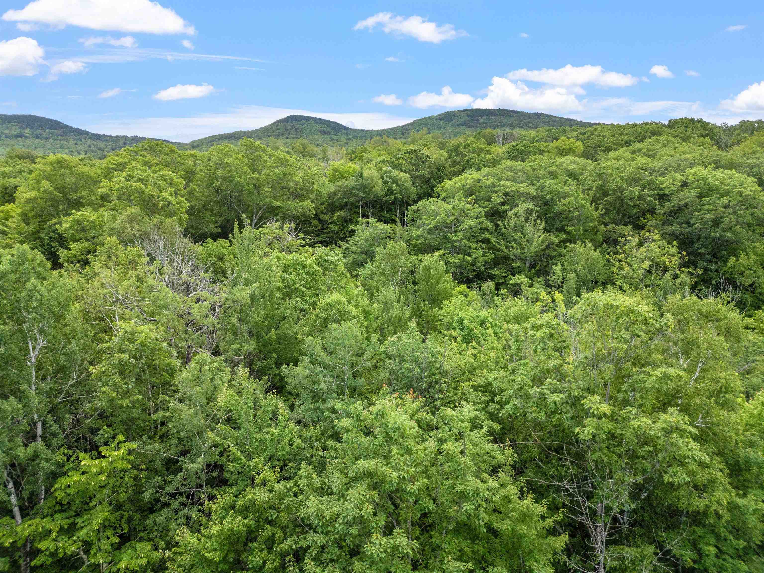 1256 Cherry Valley Road Gilford, NH 03249 - Photo 8 of 21