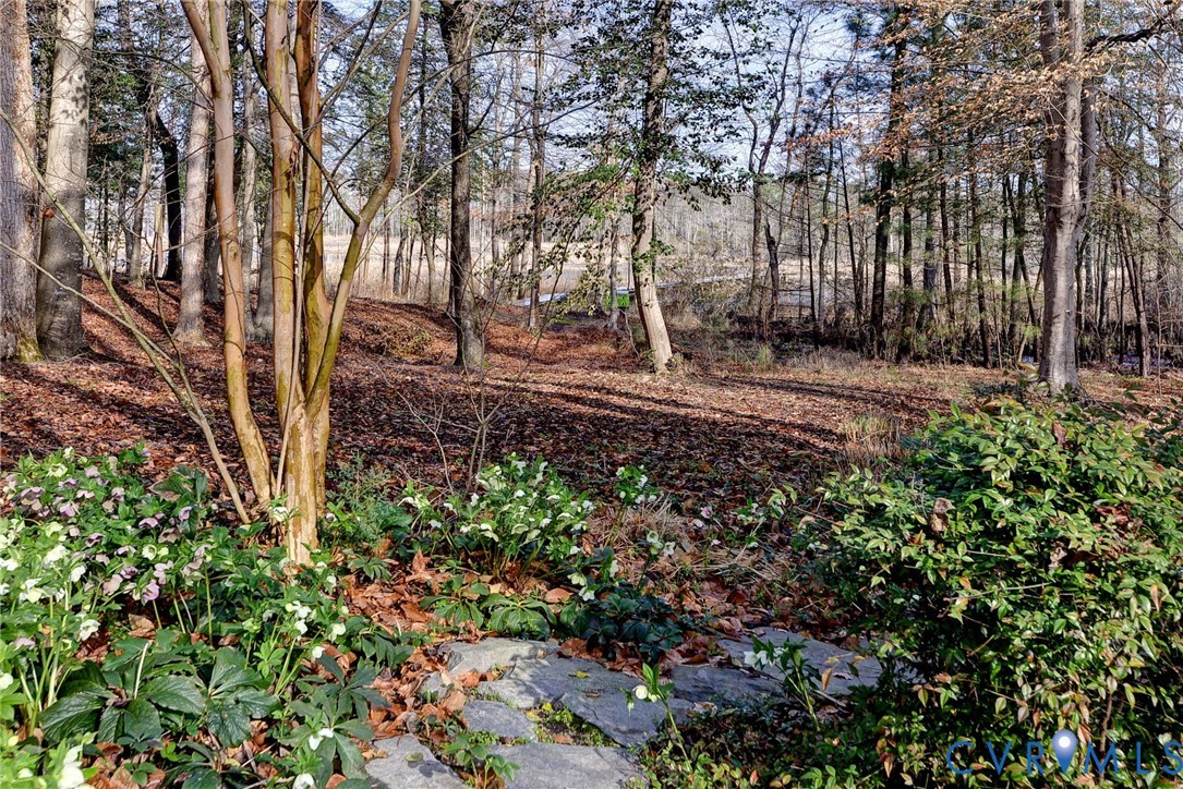 1613 River Ridge Williamsburg, VA 23185 - Photo 59 of 83 View of local wilderness