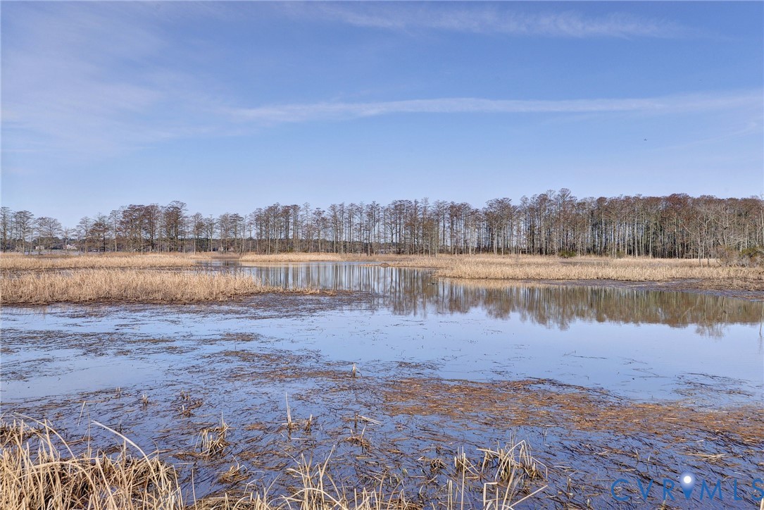 1613 River Ridge Williamsburg, VA 23185 - Photo 62 of 83 Water view