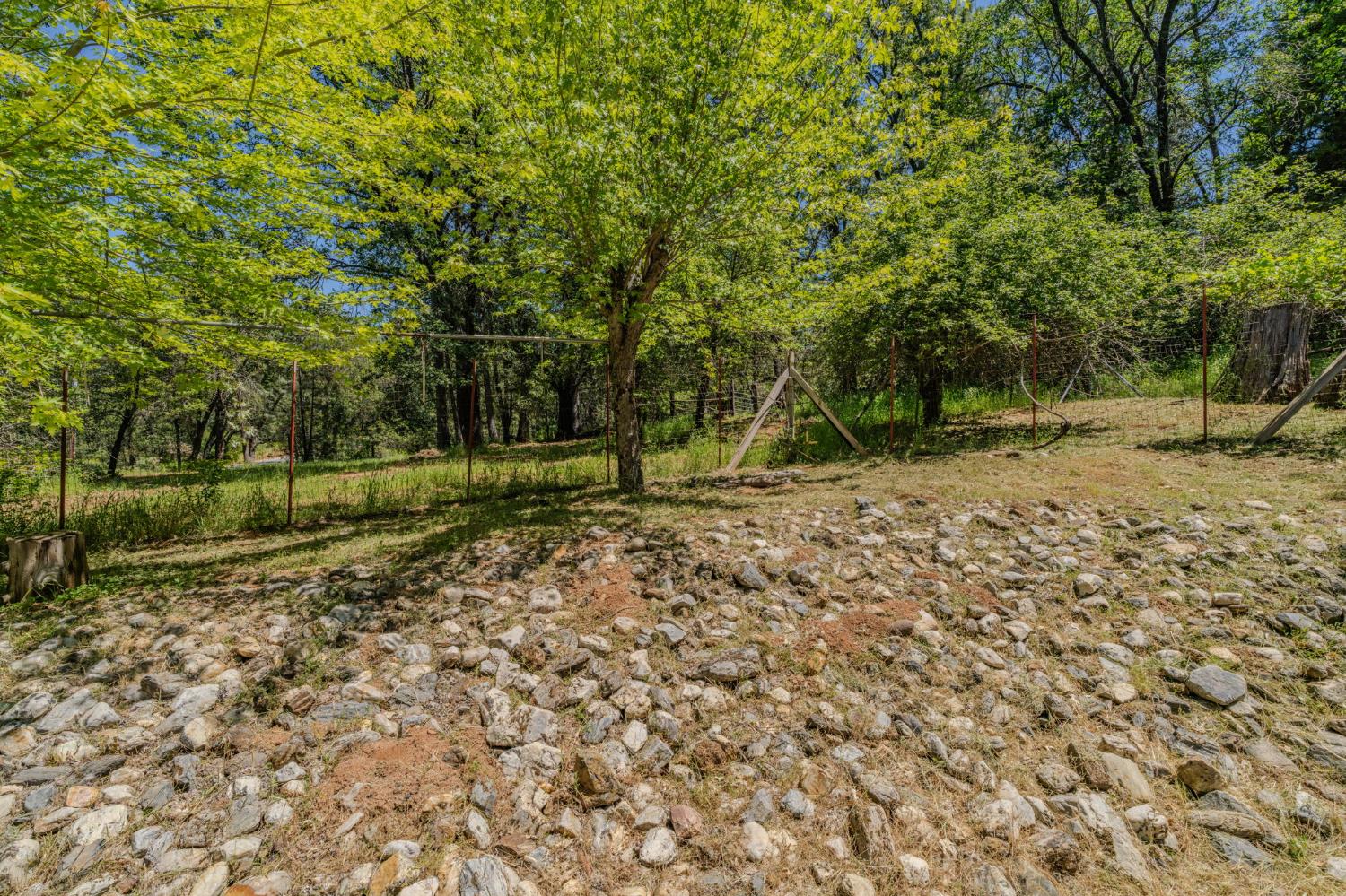20310 State Rte 26 West Point, CA 95255 - Photo 42 of 57 a view of a yard with a tree