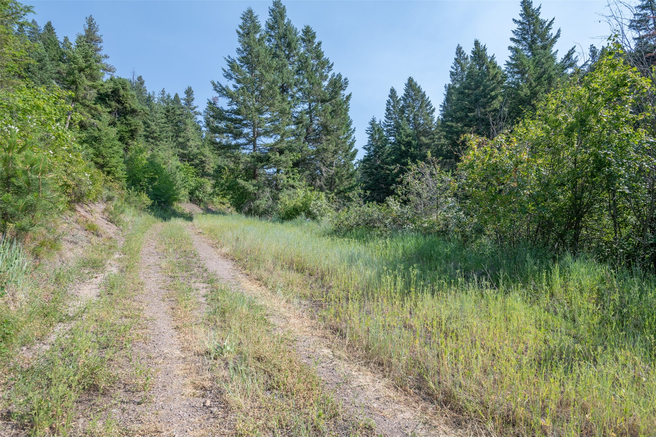 18866 Copper Rdg Trail Florence, MT 59833 - Photo 110 of 139 Gallery Image 110