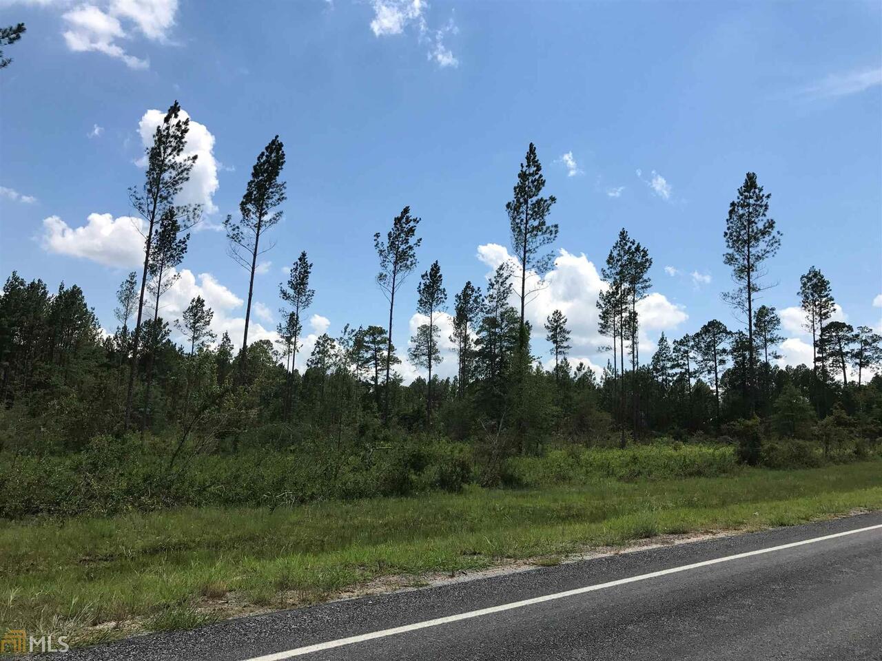 0 Racetrack Road McRae-Helena, GA 31055 - Photo 1 of 1 Gallery Image 1