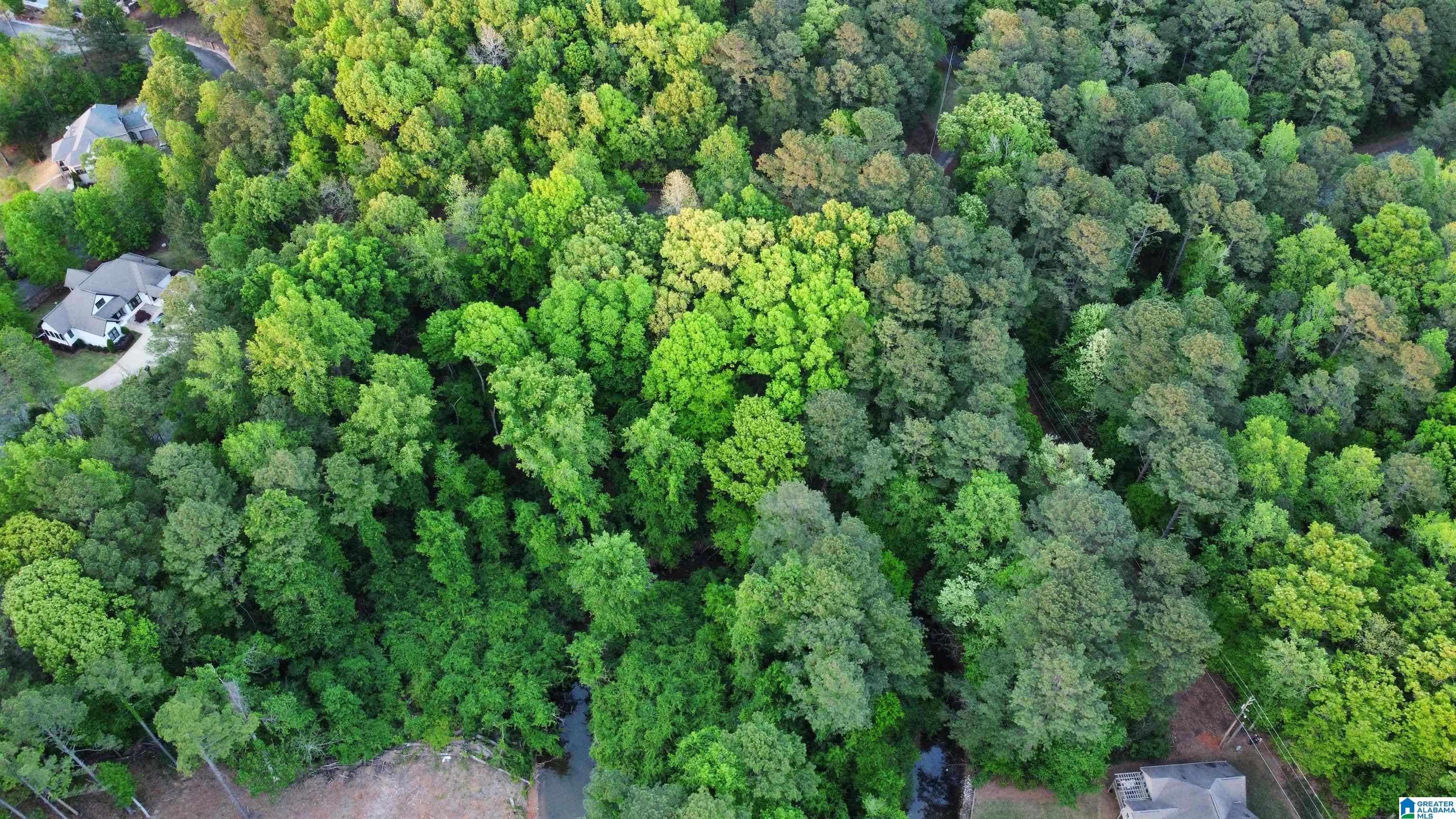 Lakeview Drive, Unit 53 Alpine, AL 35014 - Photo 17 of 35
