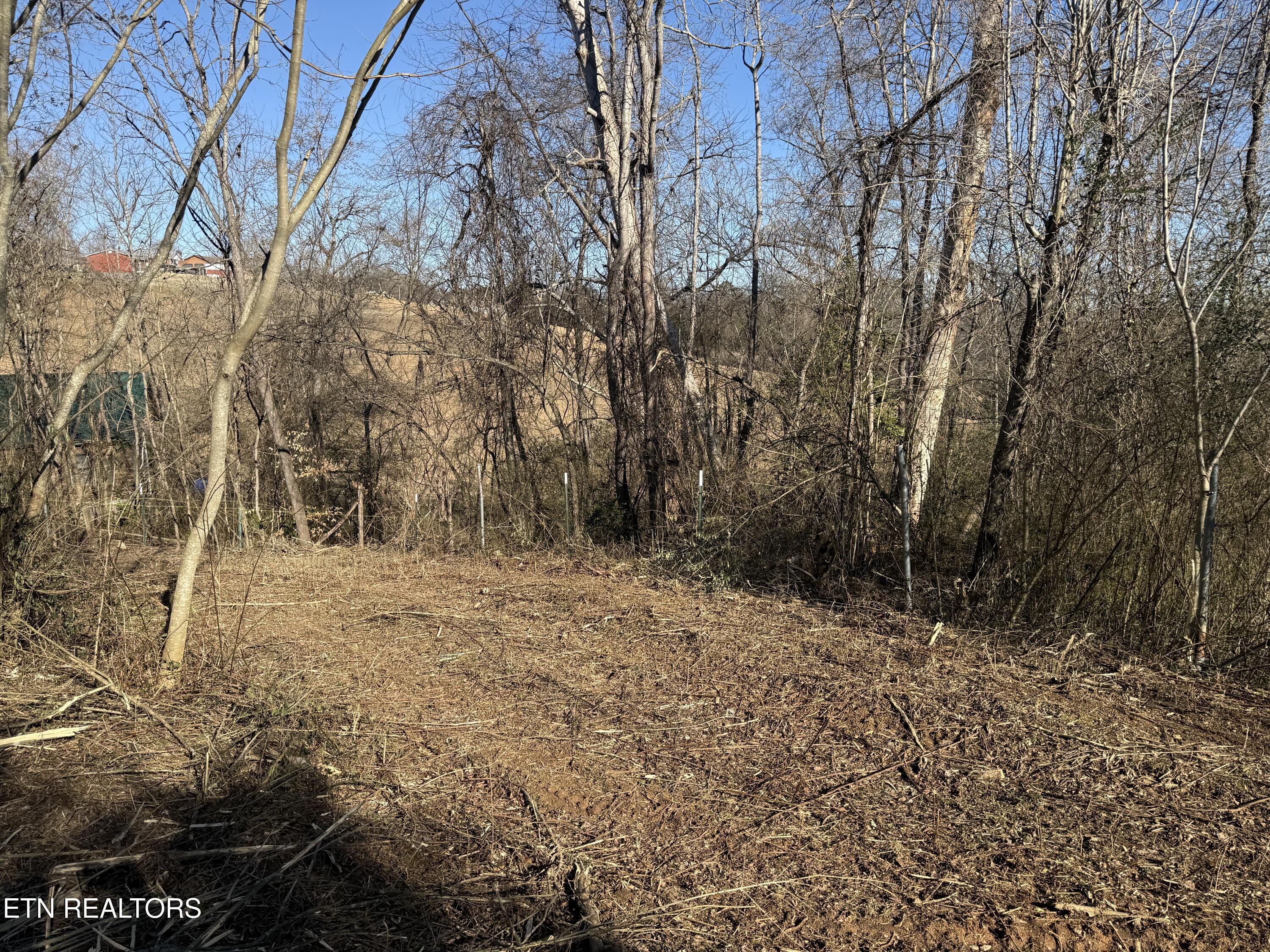 0 Bland Road Clinton, TN 37716 - Photo 7 of 15 IMG_4270