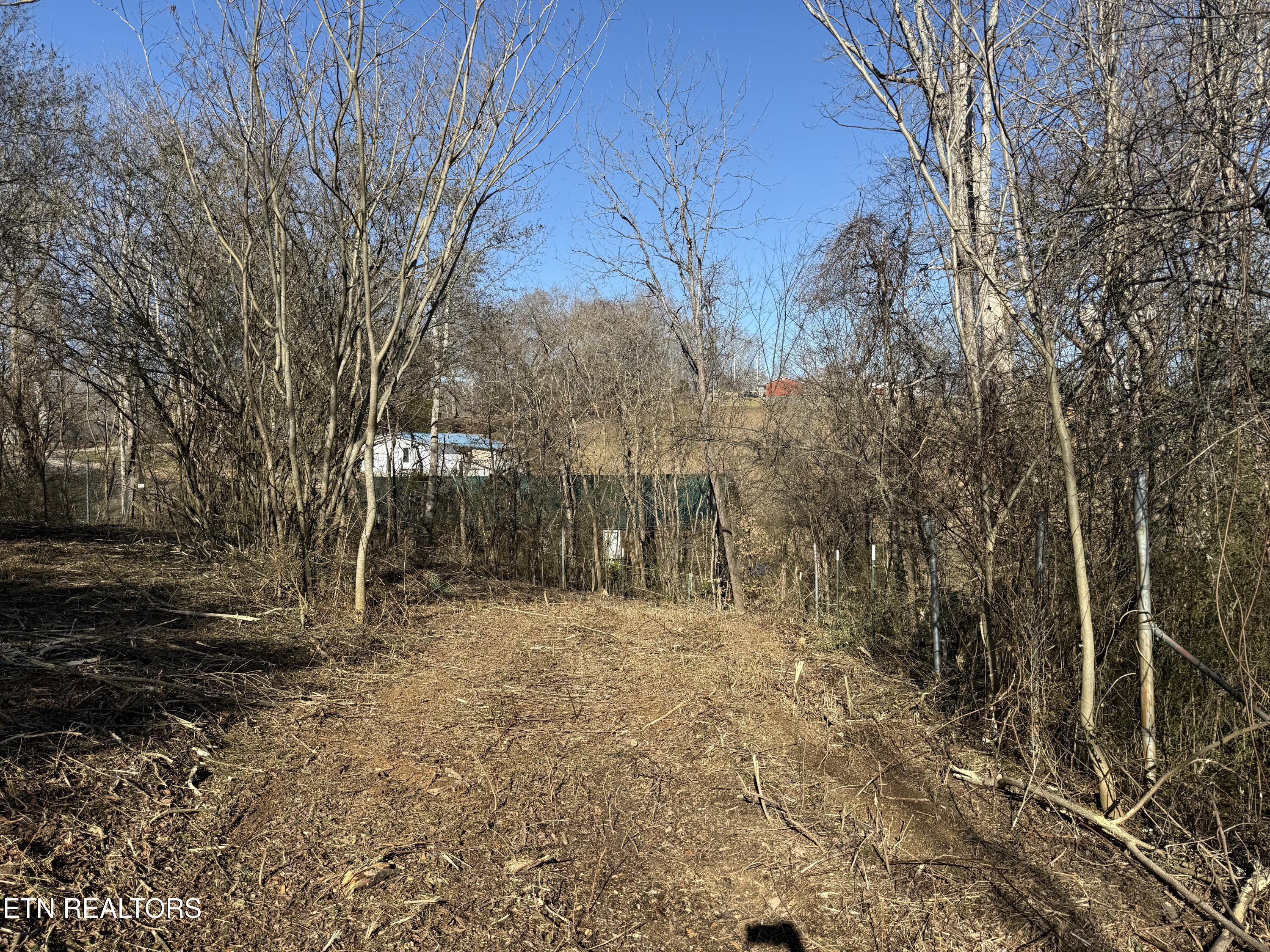 0 Bland Road Clinton, TN 37716 - Photo 9 of 15 IMG_4268