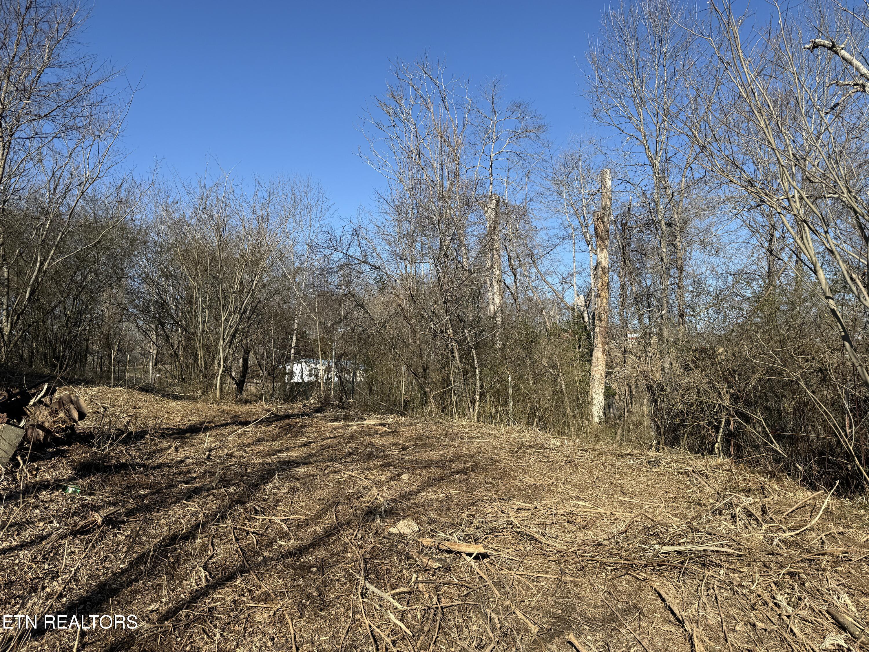 0 Bland Road Clinton, TN 37716 - Photo 10 of 15 IMG_4267