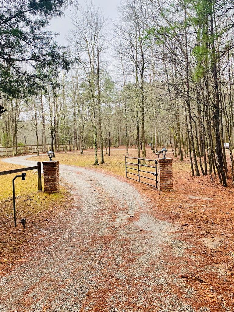 11131 Rambling Drive Midland, GA 31820 - Photo 53 of 56 Gallery Image 53