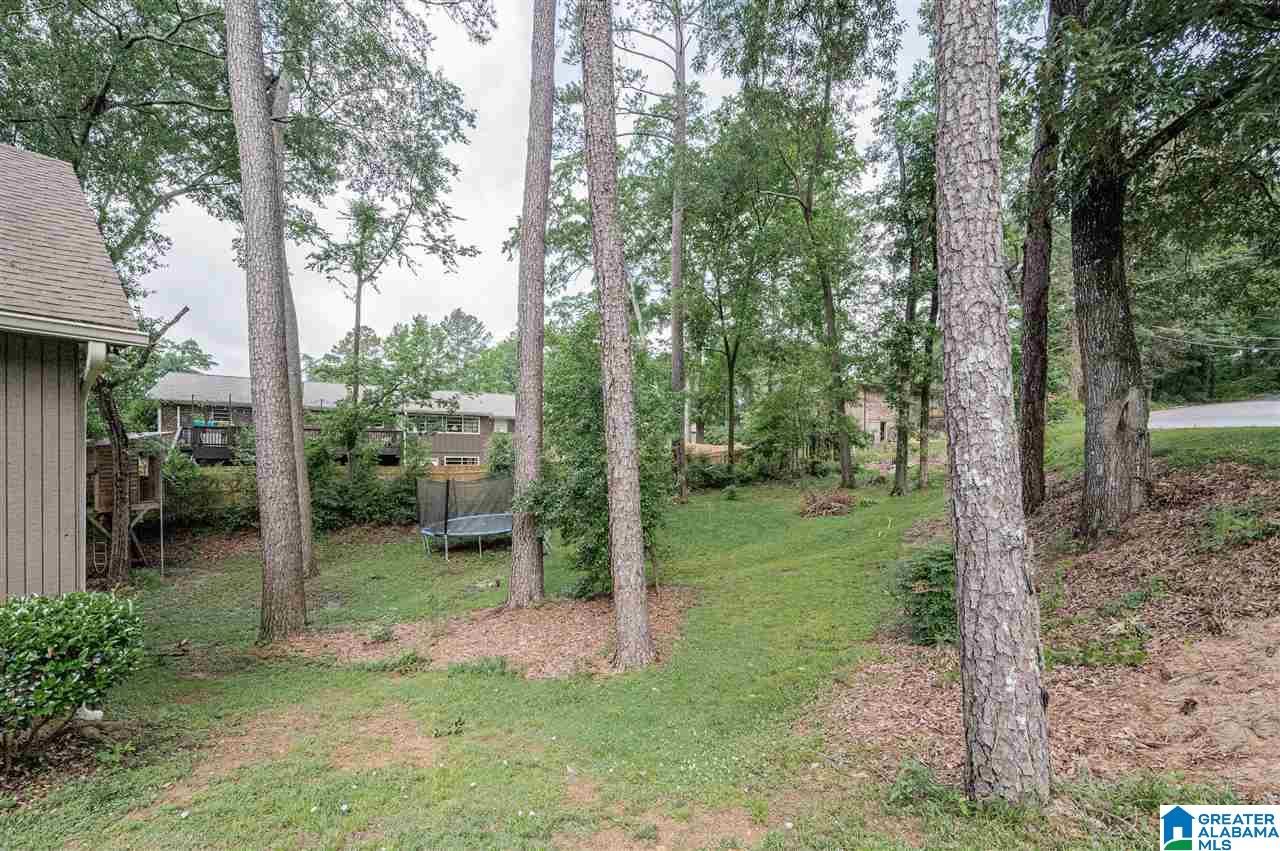 3767 Chestnut Ridge Lane Birmingham, AL 35216 - Photo 48 of 48