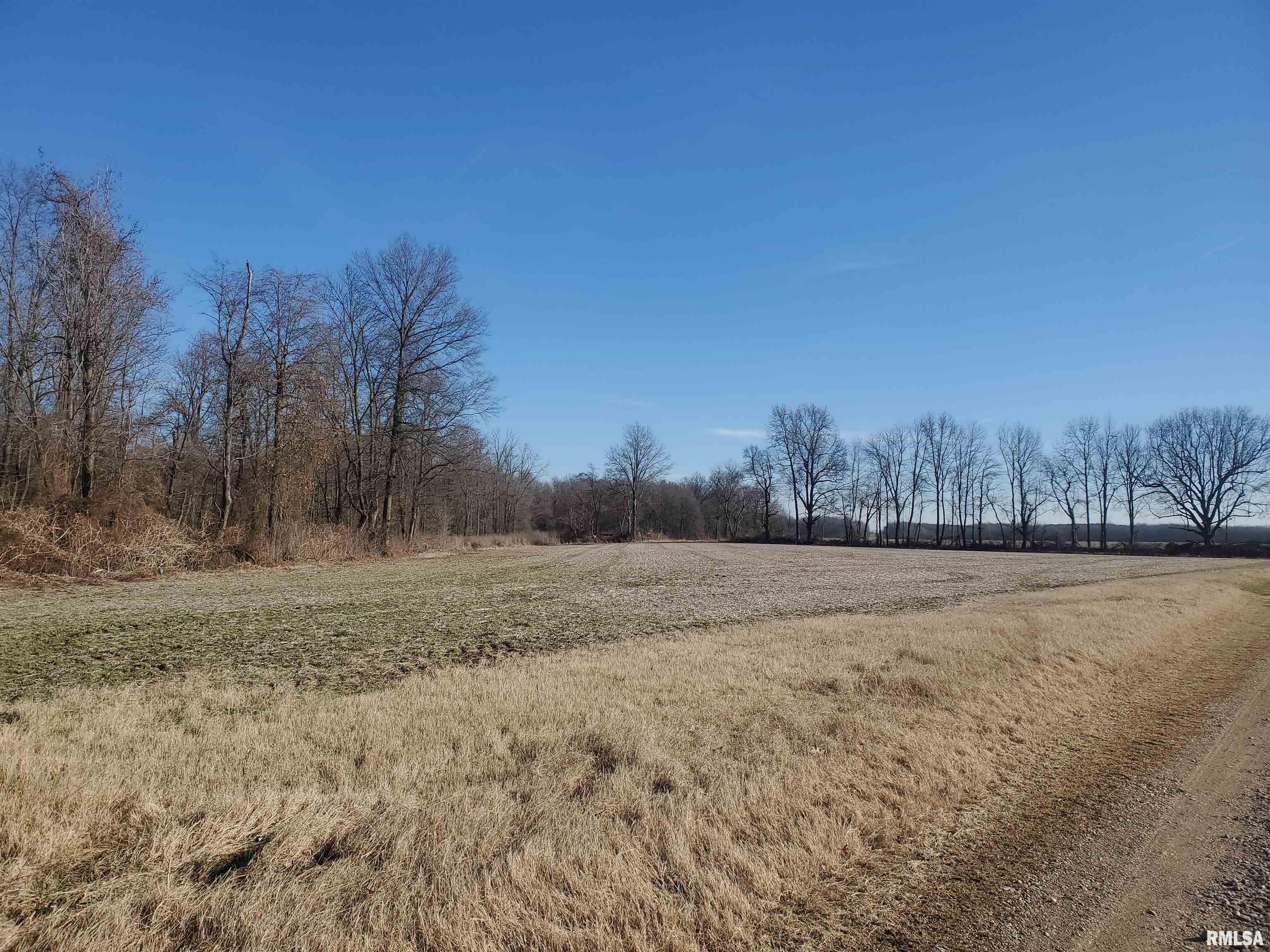 S35 Farm Road Ullin, IL 62992 - Photo 1 of 3