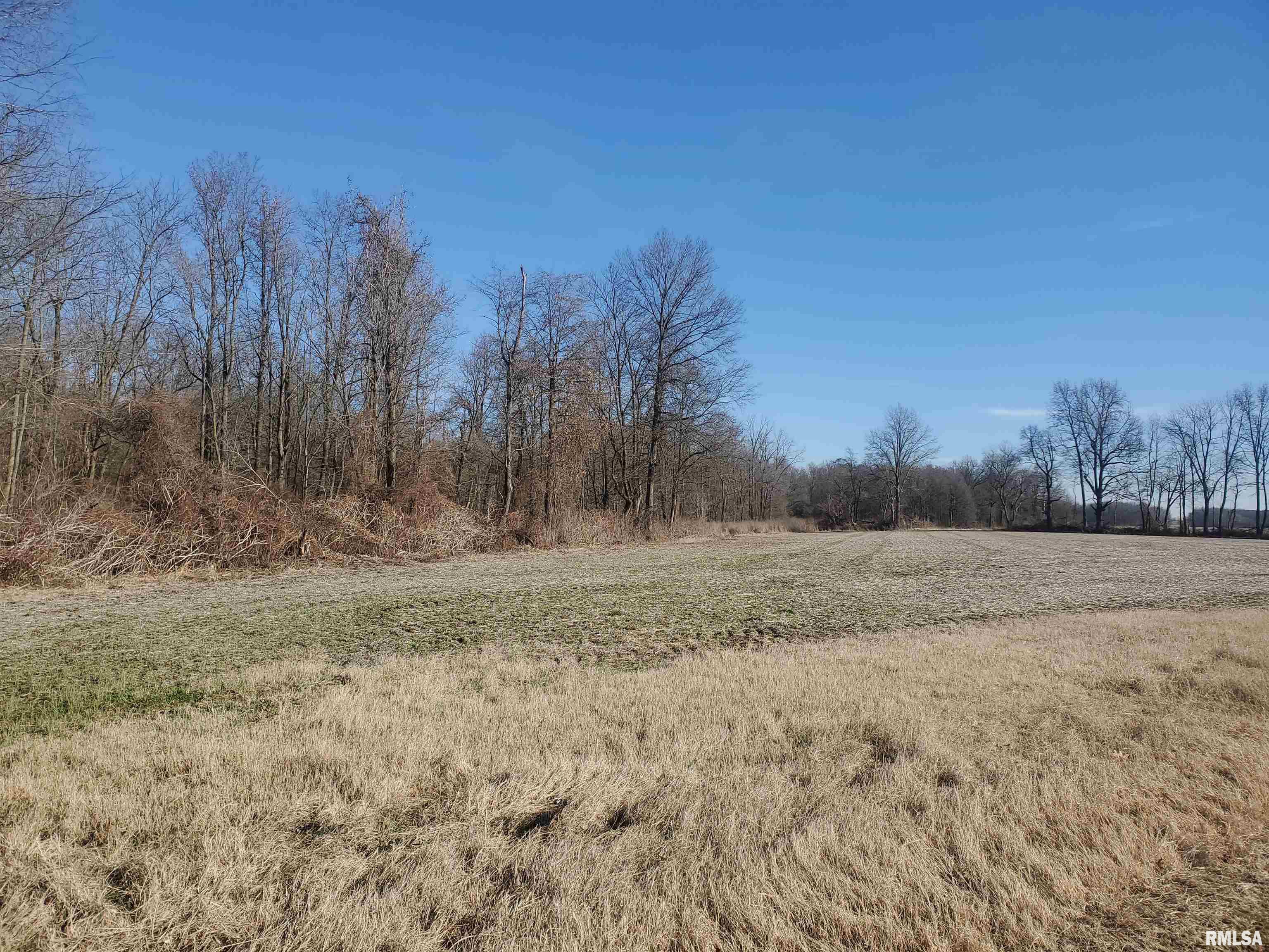 S35 Farm Road Ullin, IL 62992 - Photo 2 of 3