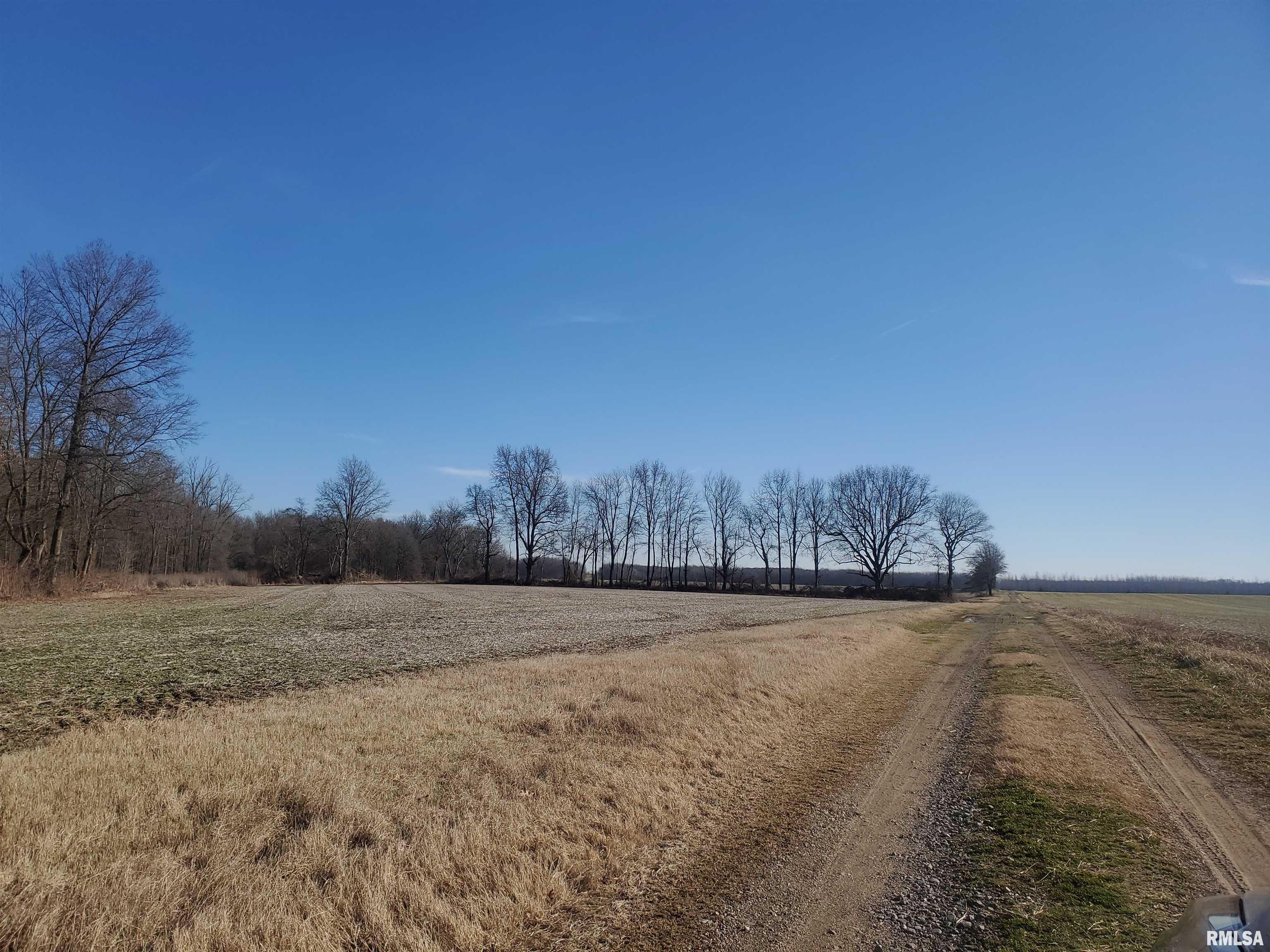S35 Farm Road Ullin, IL 62992 - Photo 3 of 3
