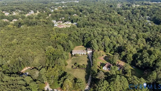a close up of a plant in a garden