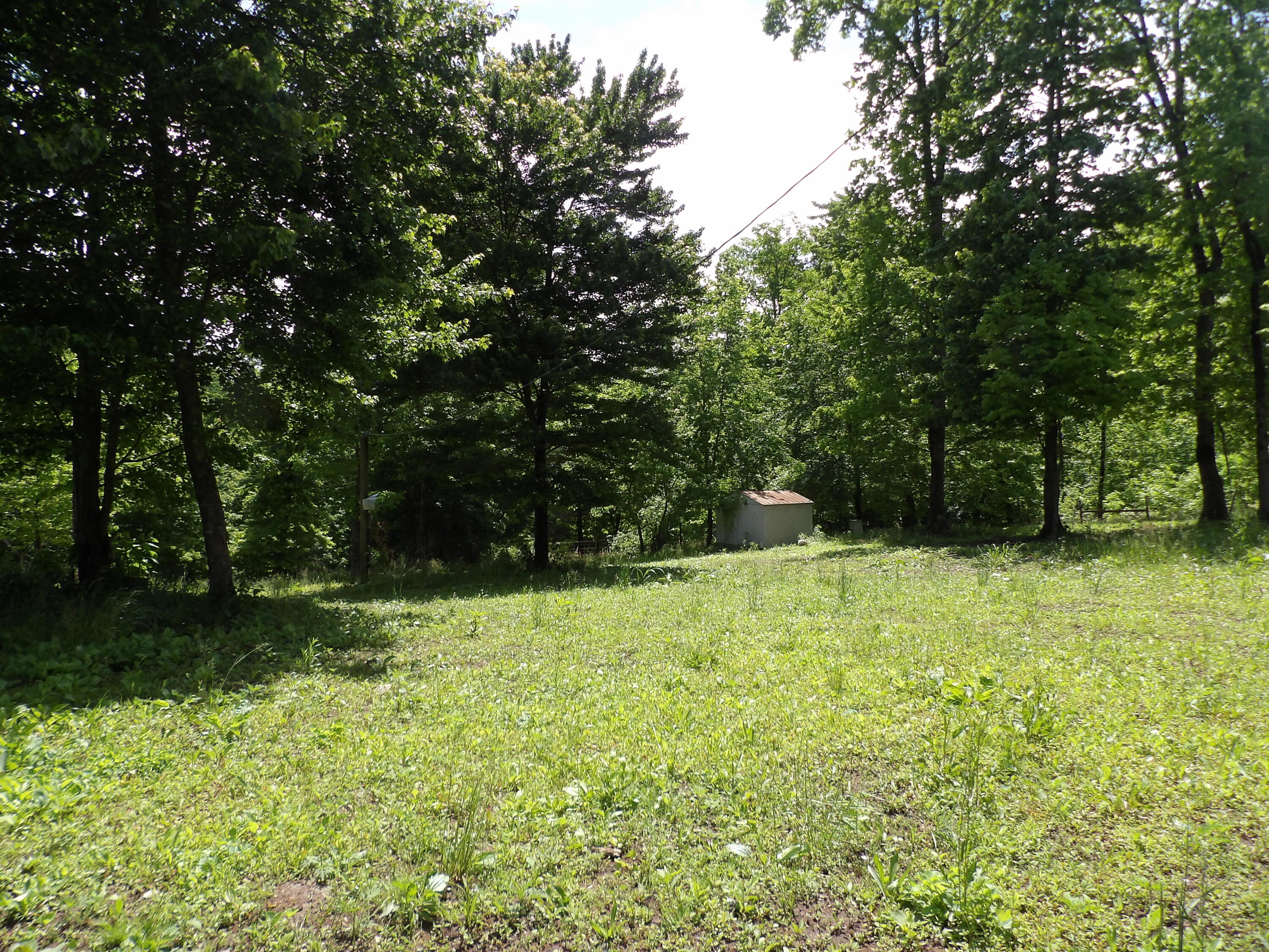 0 Kerley Road Spring City, TN 37381 - Photo 3 of 14 100_2479 - Copy